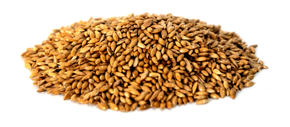 Birdseed