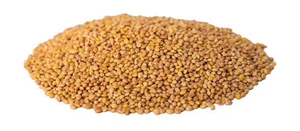 Millet